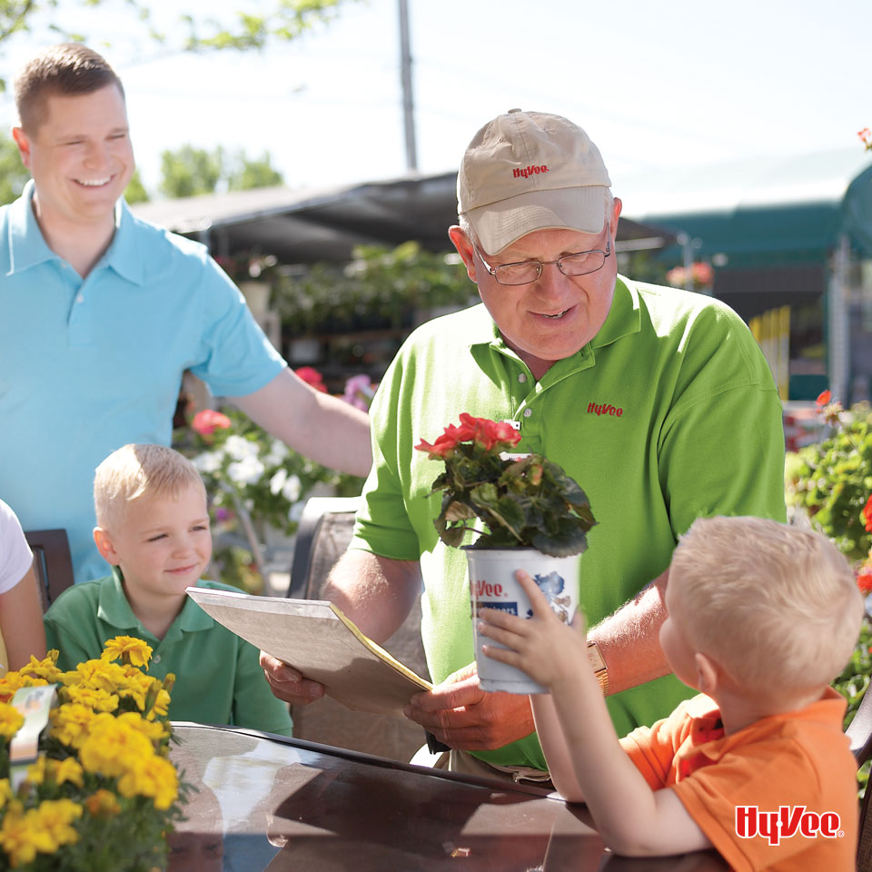 All Season Planters